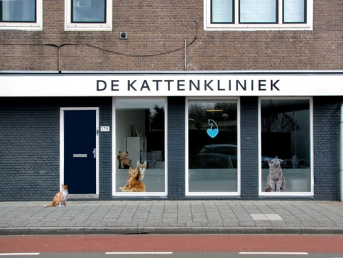 Profil Klinik